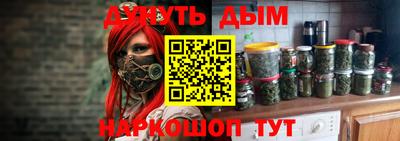 индика Будённовск