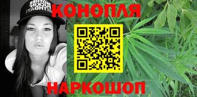 индика Будённовск