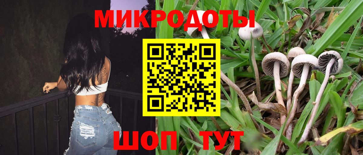 Галлюциногенные грибы Cubensis Учалы